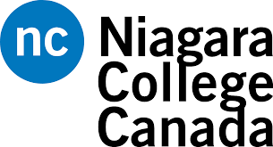 Diploma of Computer Systems Technician – Network and Cloud Technologies