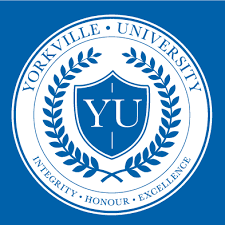 Yourkville University Logo